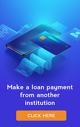 make a payment from another financial institution img